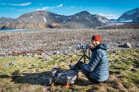 Capturing Moments in Time: A Professional Photographer’s Journey